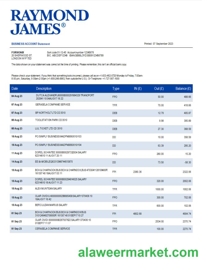 Raymond James Bank organization statement Word and PDF template
